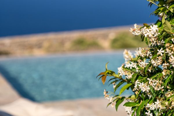Pool area